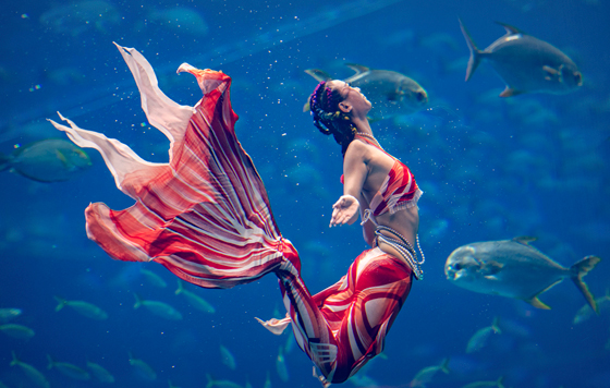 Фотохроника 13 декабря