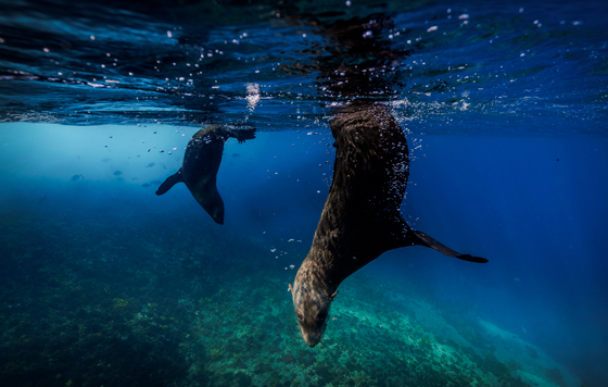 Фотохроника 23 декабря