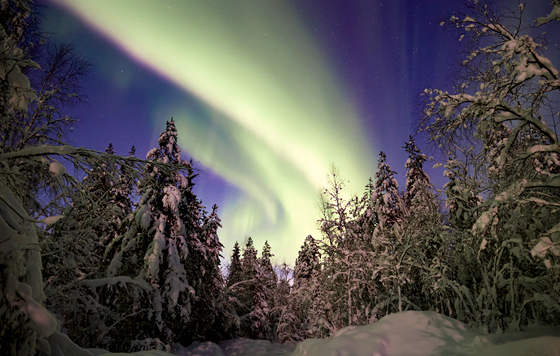 Лучшие фото недели