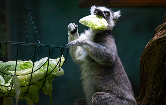 Фотохроника 16 января