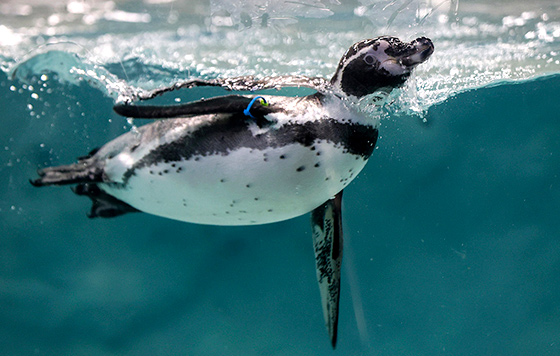 Фотохроника 20 января