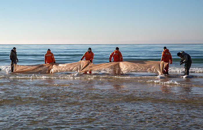 Роспотребнадзор не выявил в образцах рыбы из Черного моря несоответствия гигиеническим нормам