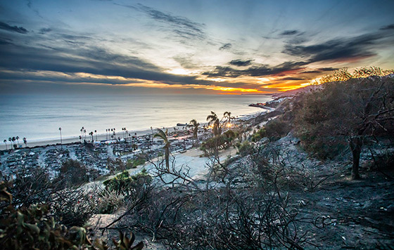 Фотохроника 22 января