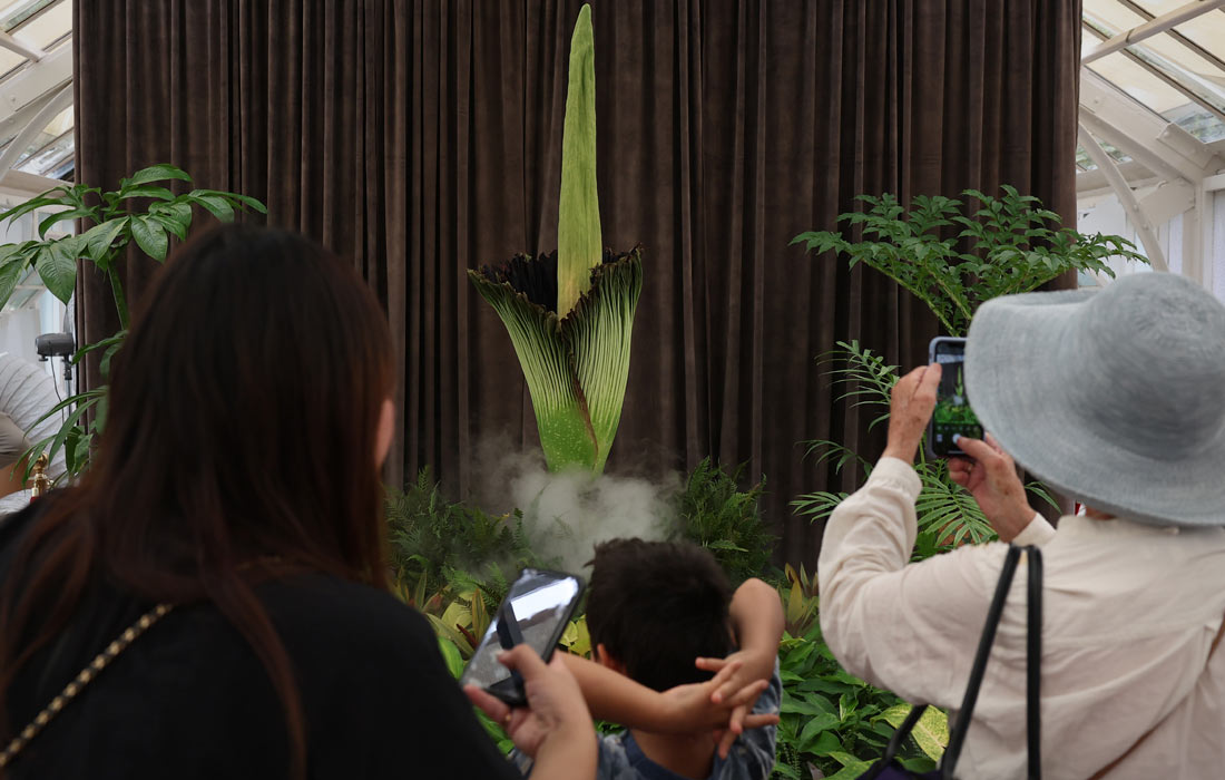           . ,                 15 .