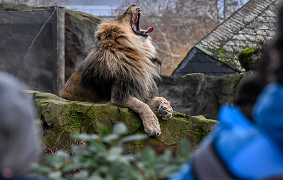 Фотохроника 24 января