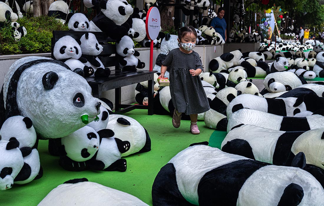 Более 3000 игрушечных панд установили в Бангкоке в честь празднования 50-летия установления дипотношений между Таиландом и Китаем