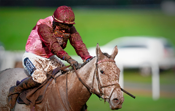 Фотохроника 28 января