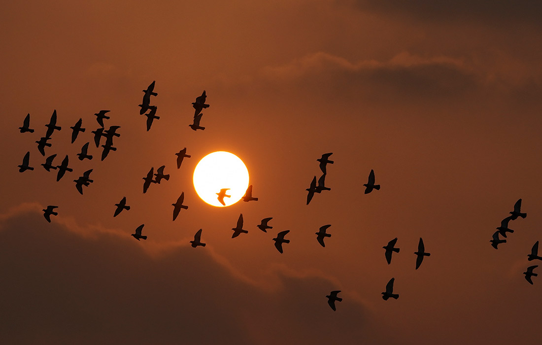 Закат в Пекине