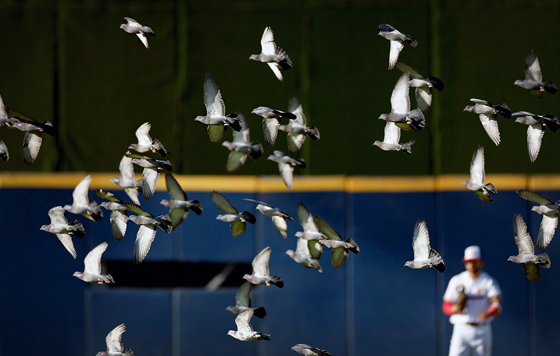 Фотохроника 5 февраля