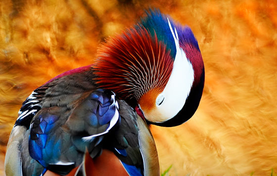 Лучшие фото недели