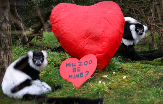 Лучшие фото недели