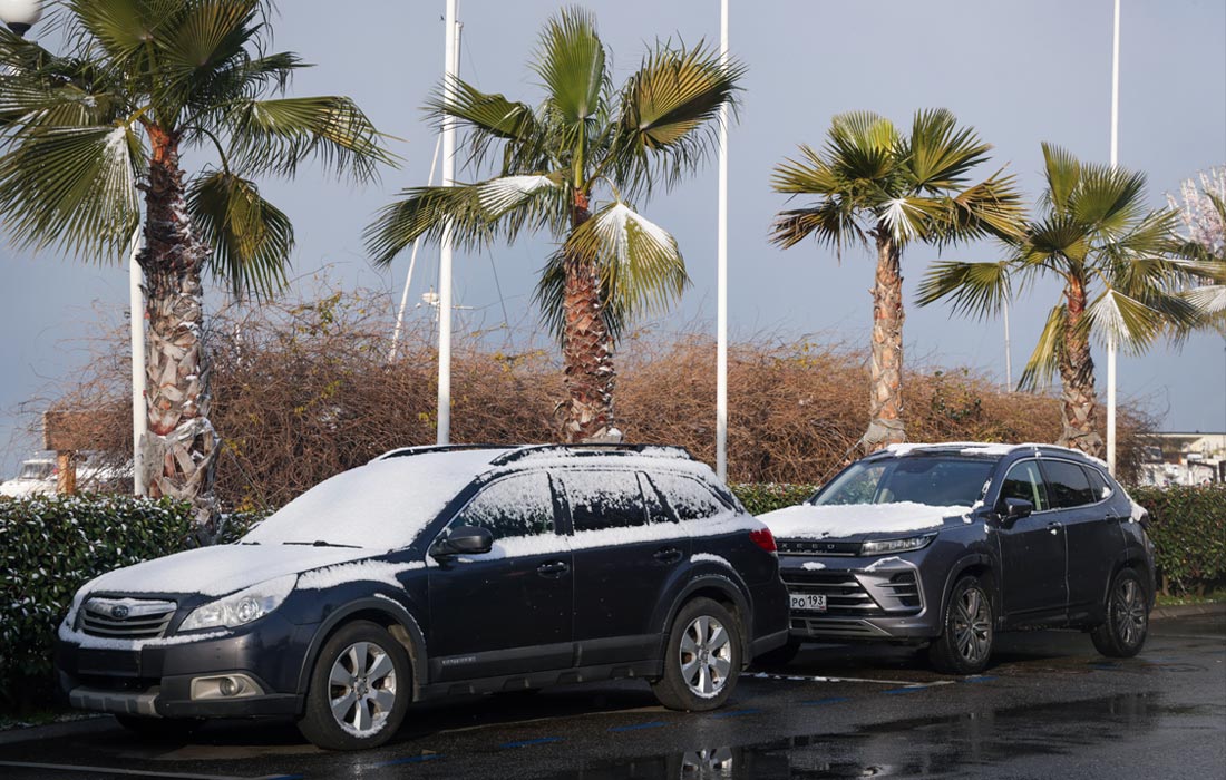 Зима в Сочи