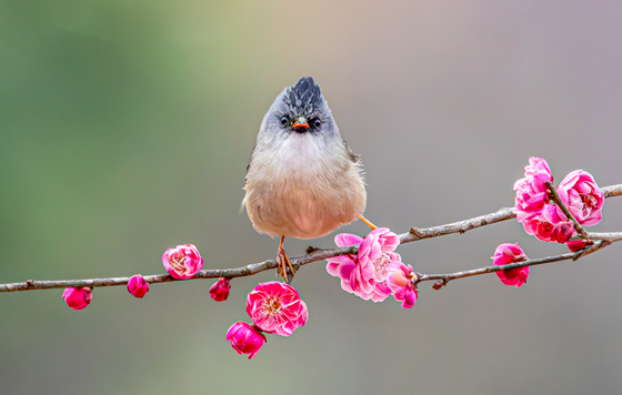 Лучшие фото недели