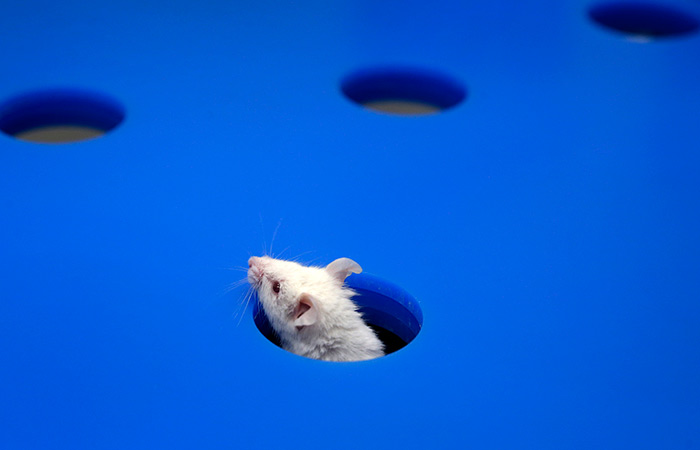 Что произошло в мире науки. Вечерний дайджест