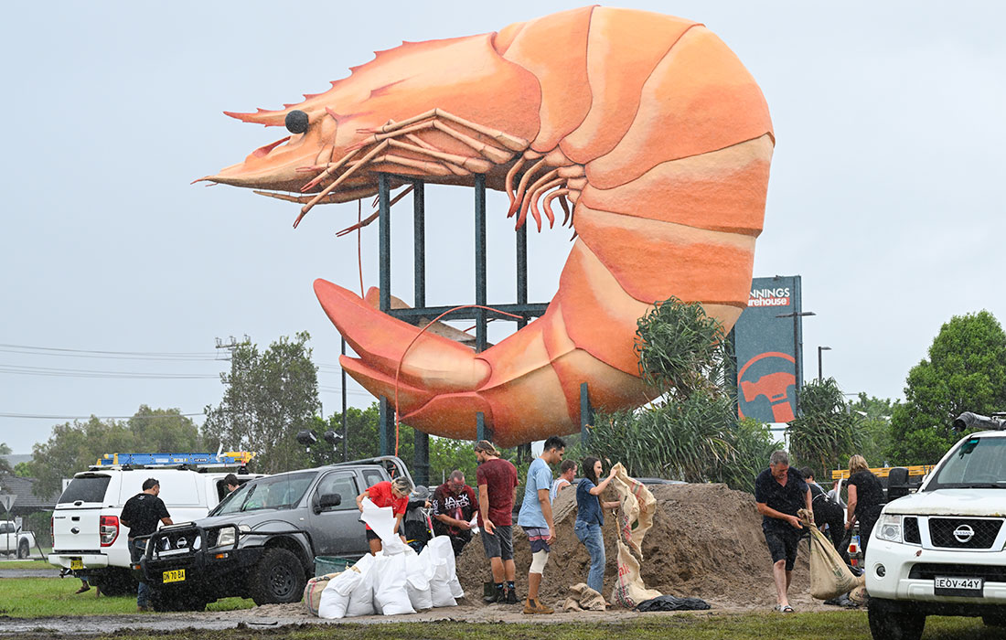 Люди готовятся к приходу тропического циклона Альфред, Новый Южный Уэльс, Австралия