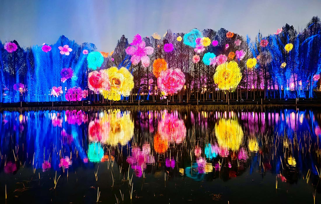 Фестиваль цветения сакуры в Шанхае