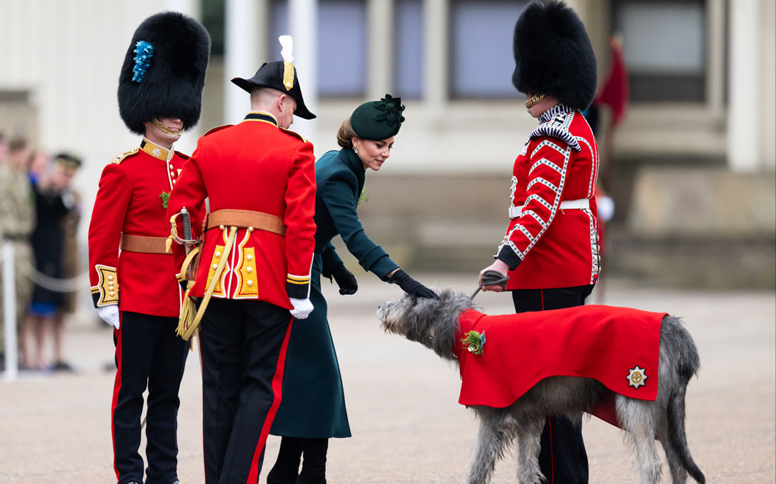 Принцесса Уэльская посетила парад в честь Дня Святого Патрика в казармах Веллингтона в Лондоне