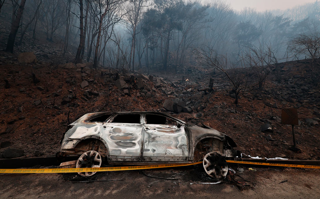 На юго-востоке Южной Кореи из-за лесных пожаров погибли не менее 24 человек