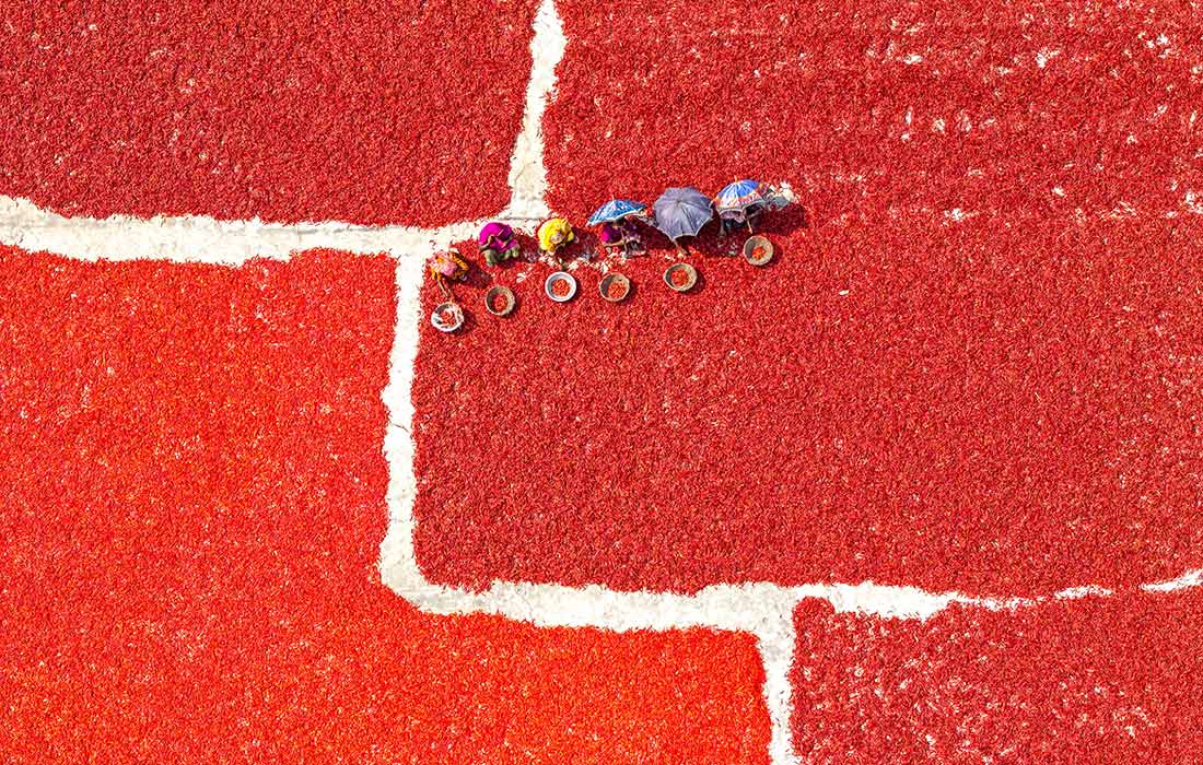 Сушка красного перца чили в Бангладеш