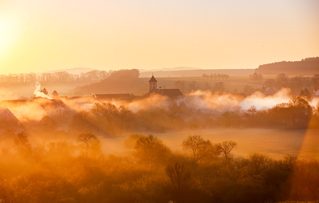 Утренний туман на Дунае в немецком Ридлингене