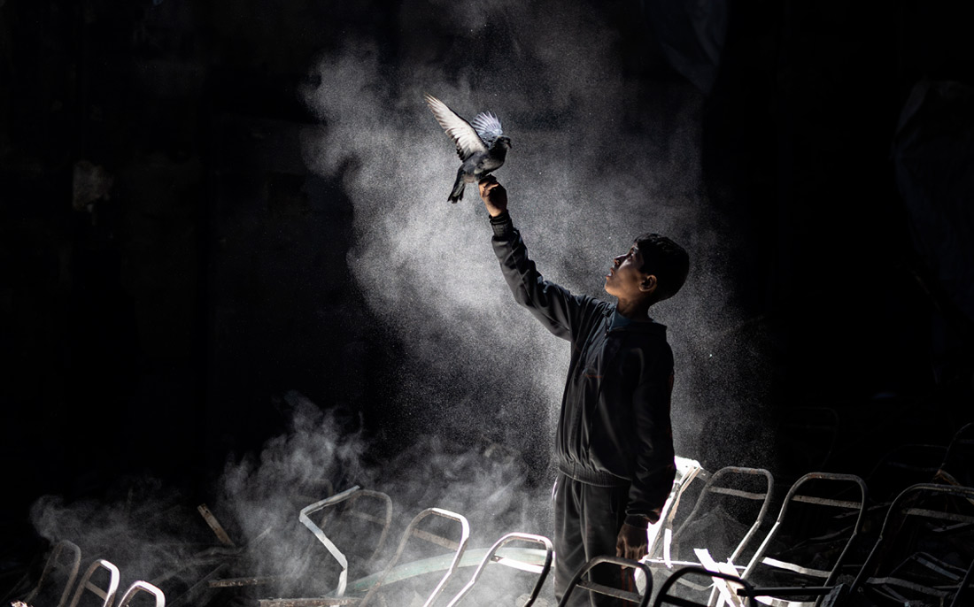 Ребенок с голубем в Газе