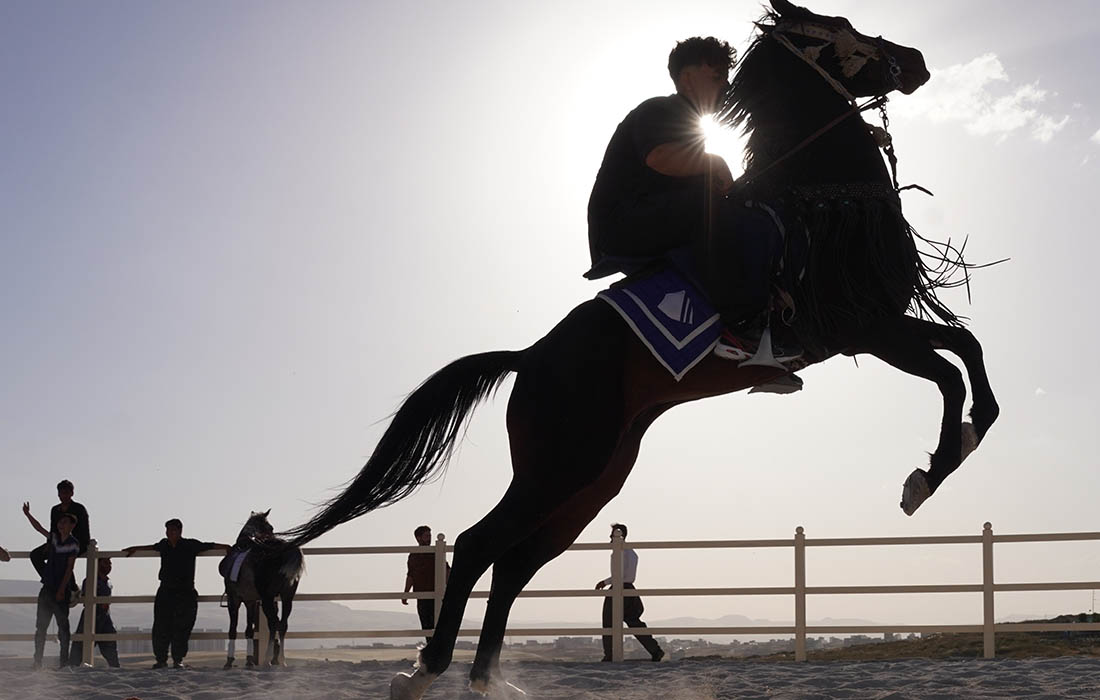 Подготовка к соревнованиям наездников в Ираке