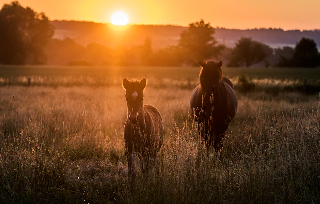 Рассвет в немецком Верхайме