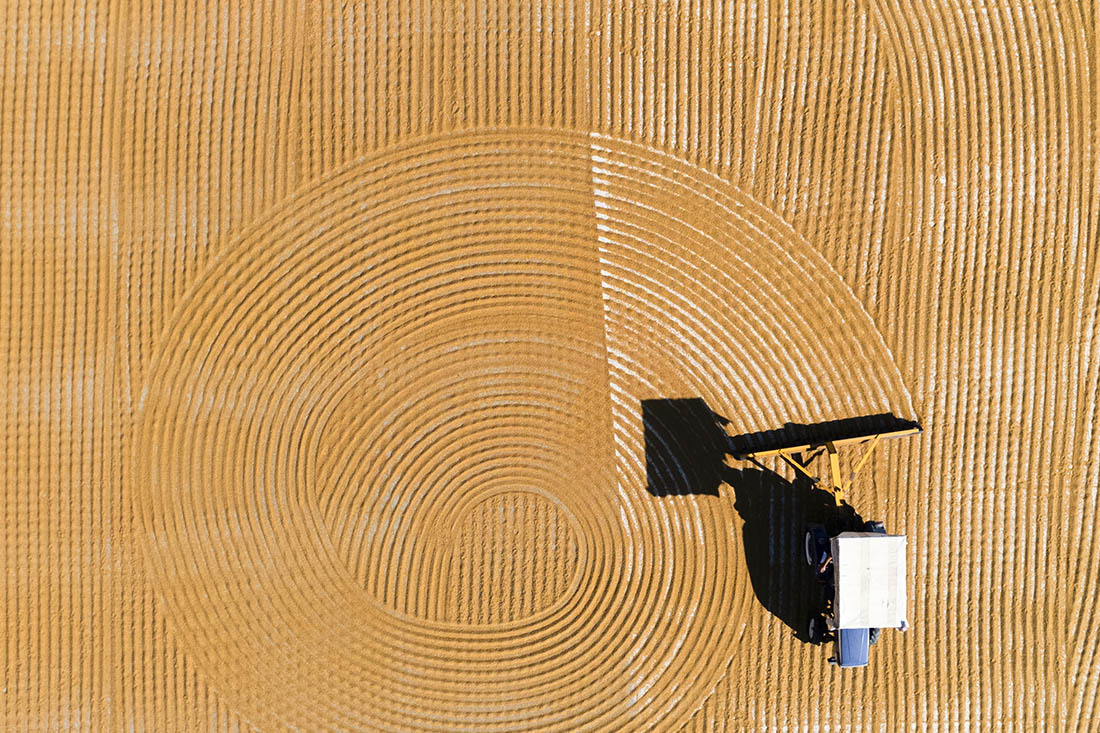 Пшеницу собирают в Турции