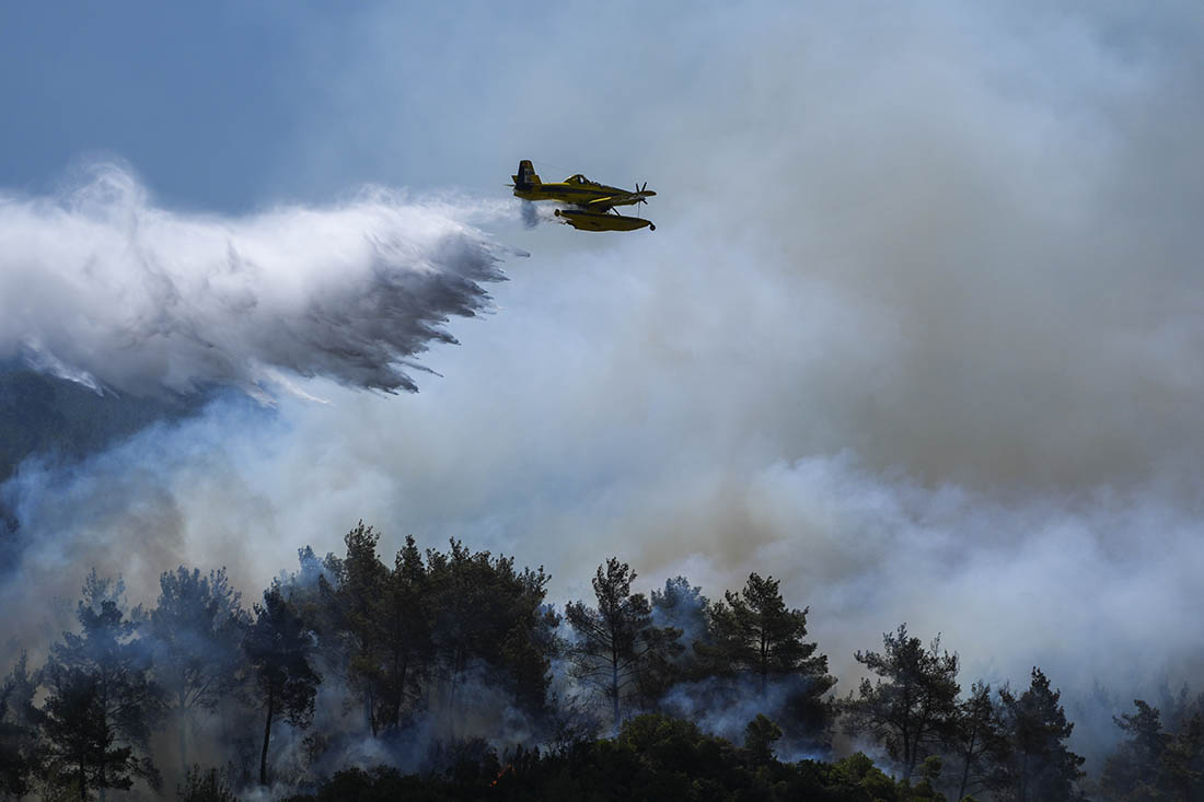 С начала лета в стране зафиксировано 569 лесных пожаров