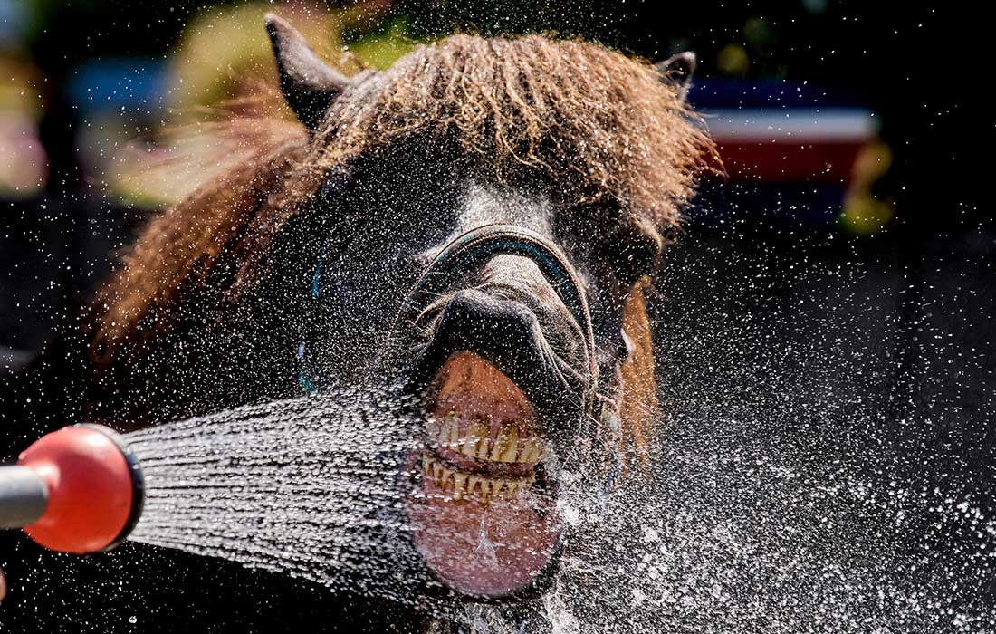 Верхайм, Германия