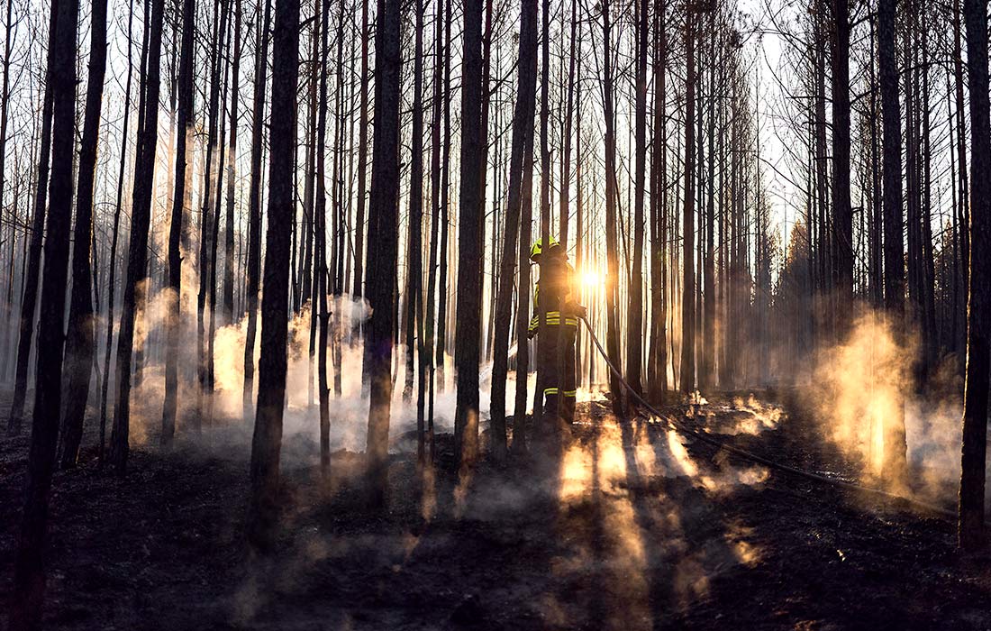 Тушение лесного пожара возле Зонневальде, Германия
