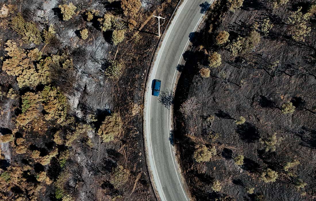 Последствия лесных пожаров в Турции