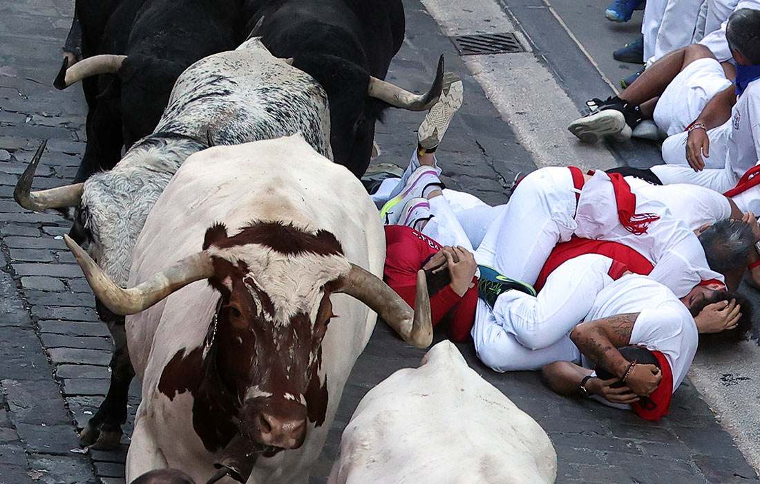 Бег быков на фестивале Сан-Фермин в испанской Памплоне