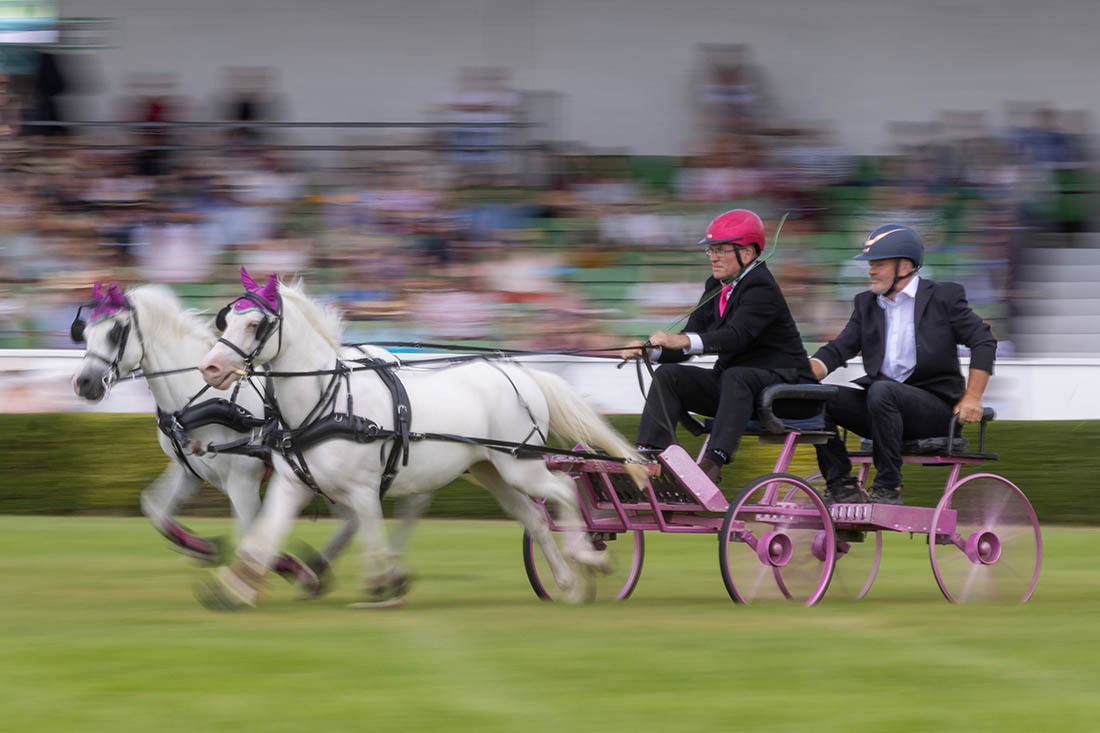 166-я сельскохозяйственная выставка "Большое Йоркширское шоу" в Великобритании