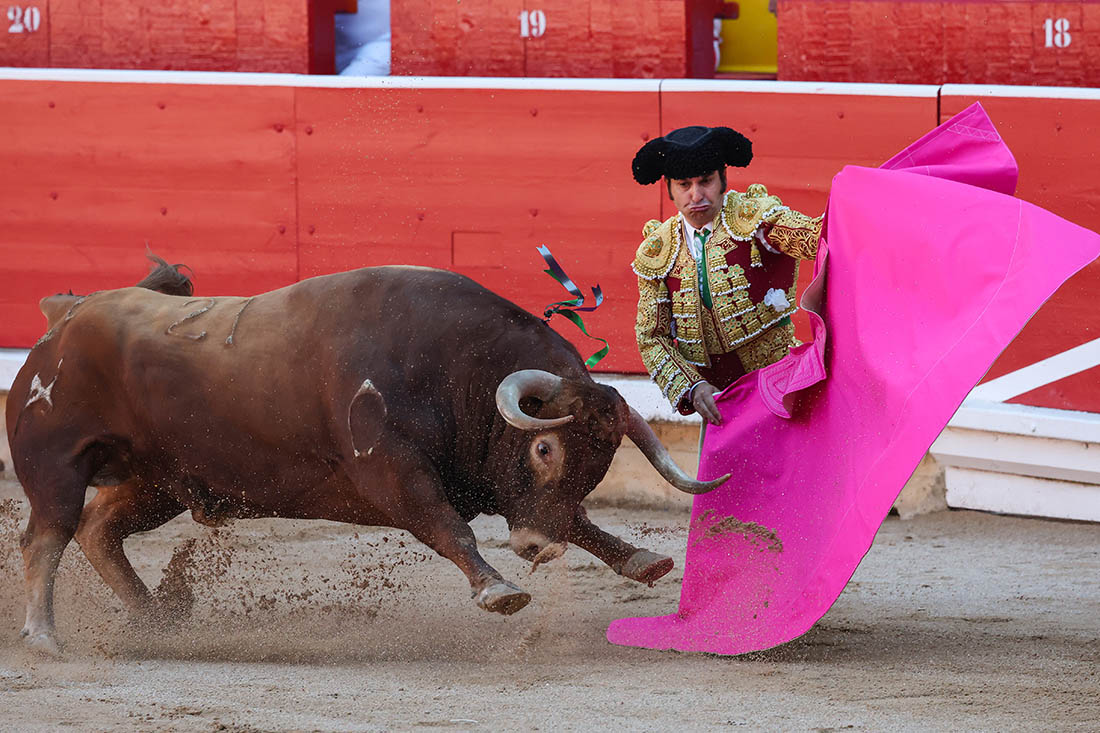 В ходе фестиваля погибают десятки быков