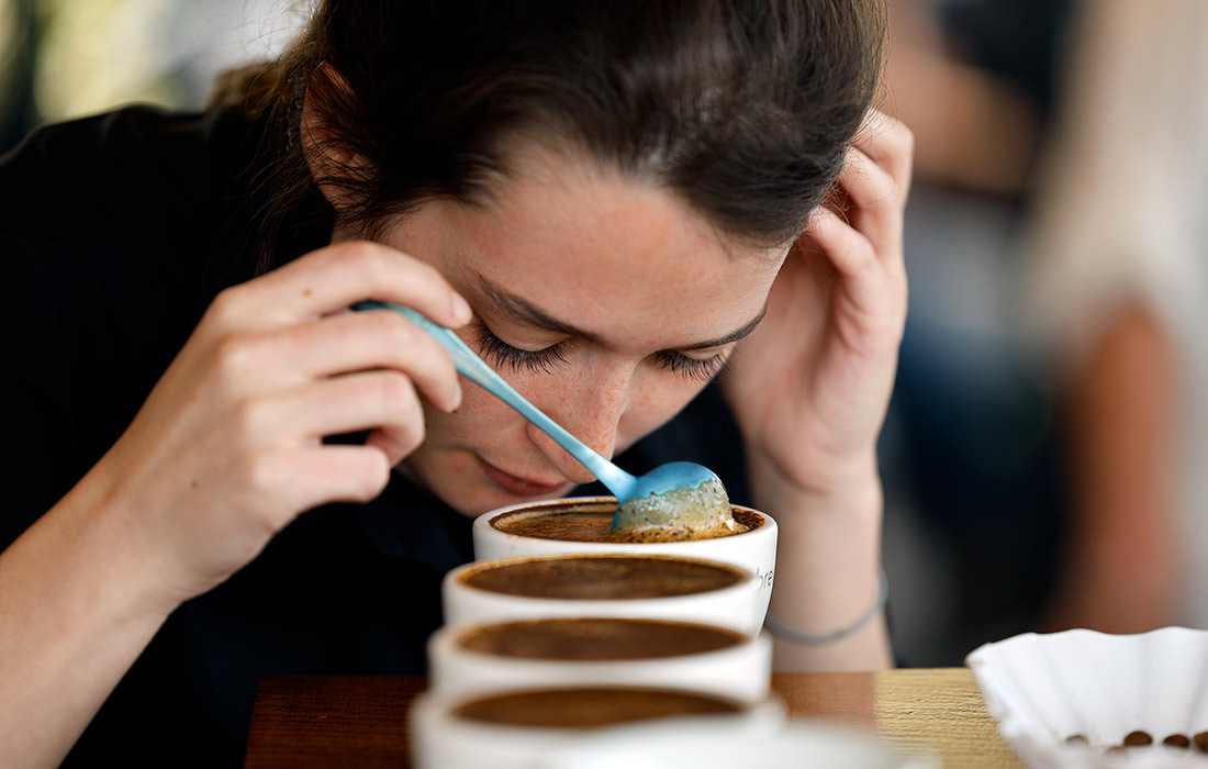 Дегустация элитных сортов кофе в панамском Бокете