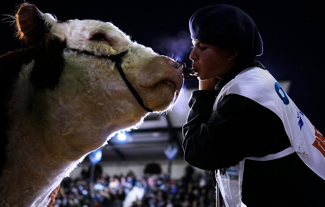 Ежегодная аграрная выставка в Буэнос-Айресе