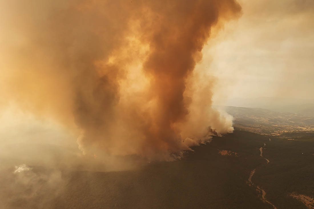 Лесной пожар в Бурсе. С начала лета в Турции зафиксировано 569 лесных пожаров и 890 иных очагов возгорания.