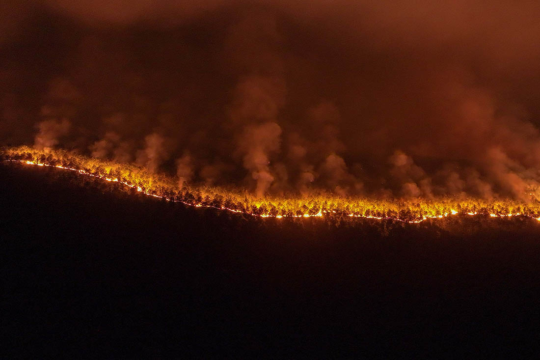 Среди причин возгорания министр назвал сжигание остатков стеблей злаков после уборки урожая, запуск петард и непотушенные окурки. Так, из-за окурка загорелась кустарниковая зона в муниципалитете Чешме провинции Измир. Пожар повредил около 50 га земли.