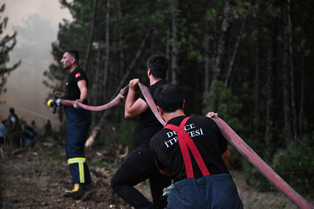 Посольство России в Анкаре предупредило российских туристов об обострении ситуации с лесными пожарами в Турции и призвало следить за обстановкой