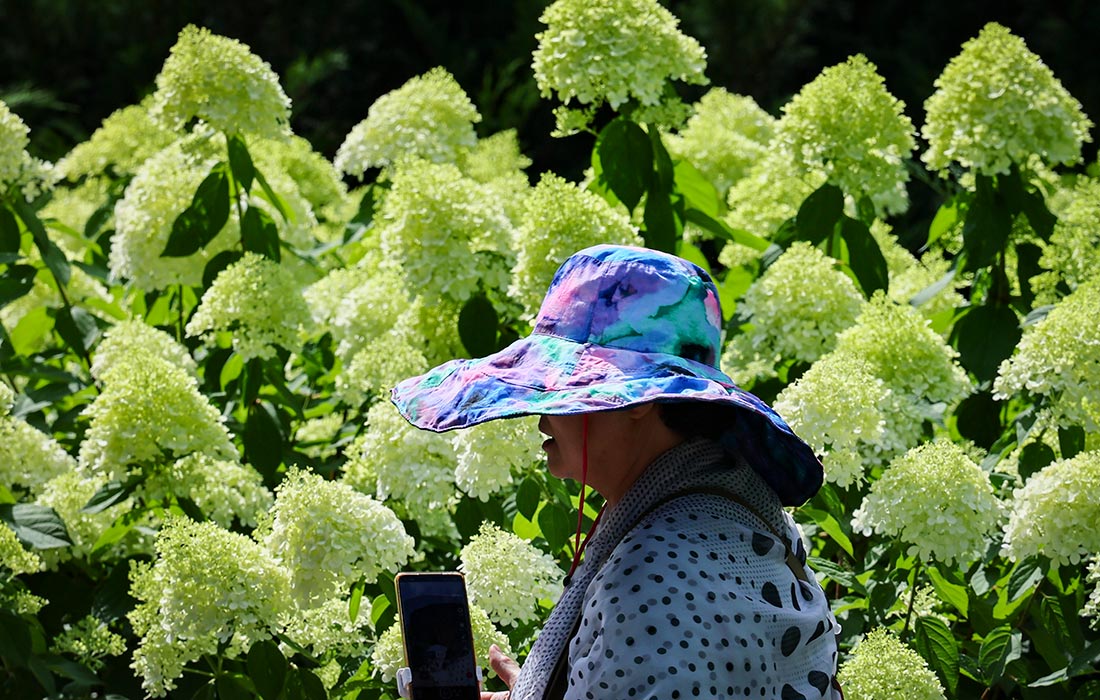 Жара в Москве