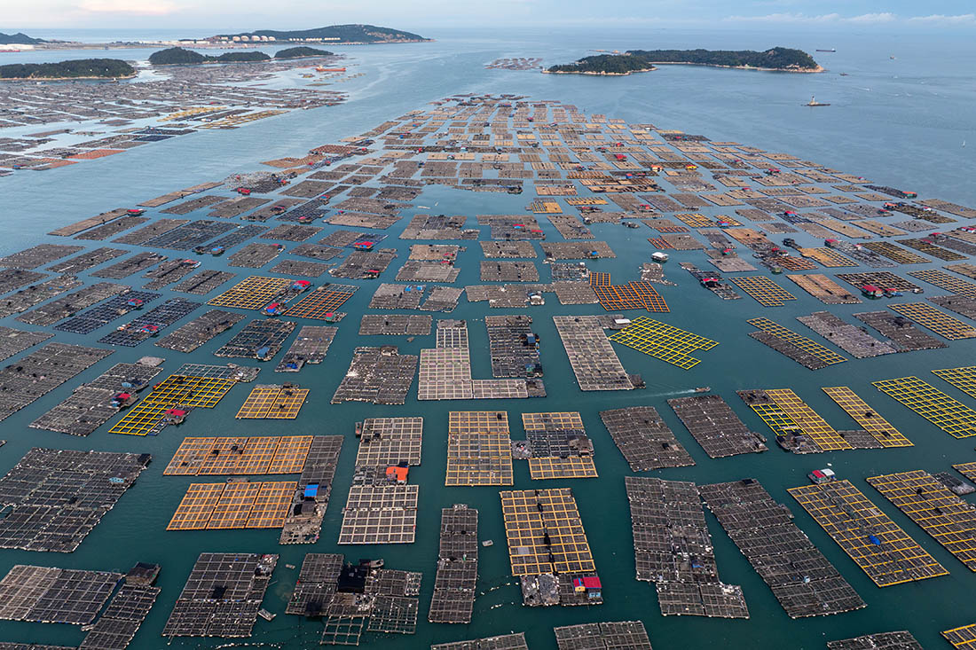 Фермы по выращиванию ставриды в Чанчжоу