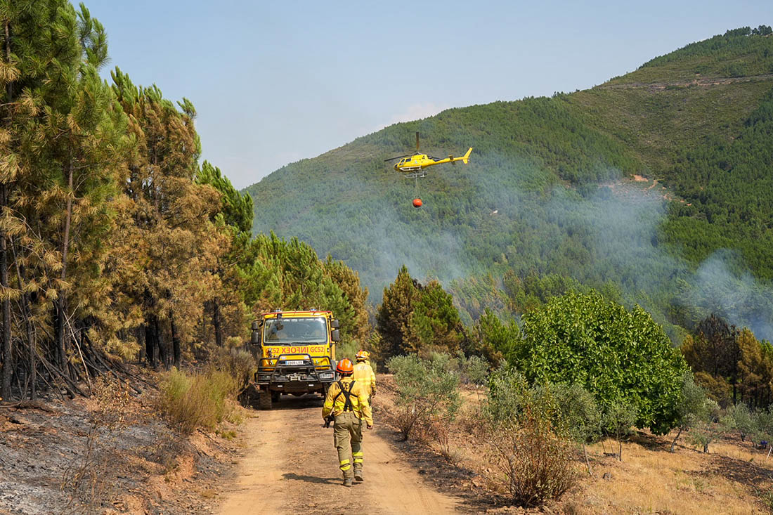 Лесные пожары в Испании