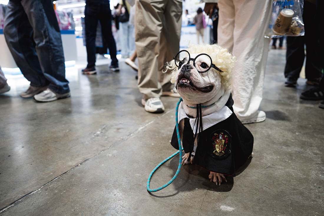 В Таиланде отметили день рождения Гарри Поттера