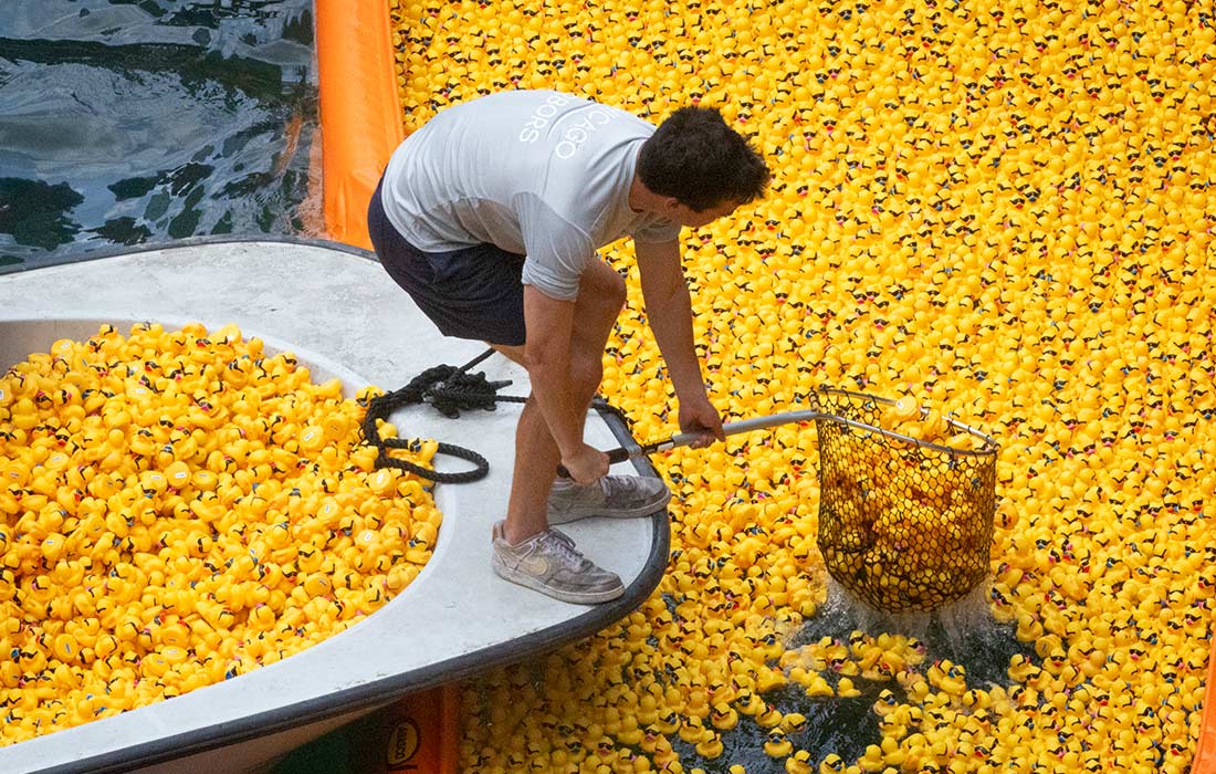 Ежегодное "Утиное дерби" по реке Чикаго, США