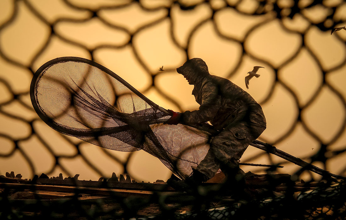 Экспедиция на остров Тюлений в Сахалинской области