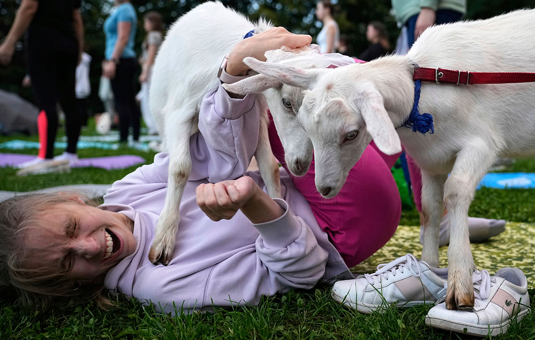 Йога с козами в Парке Горького в Москве