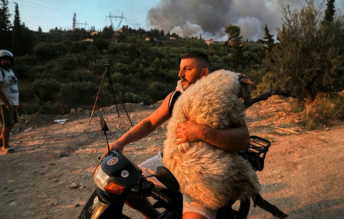 Лесной пожар на западе Греции