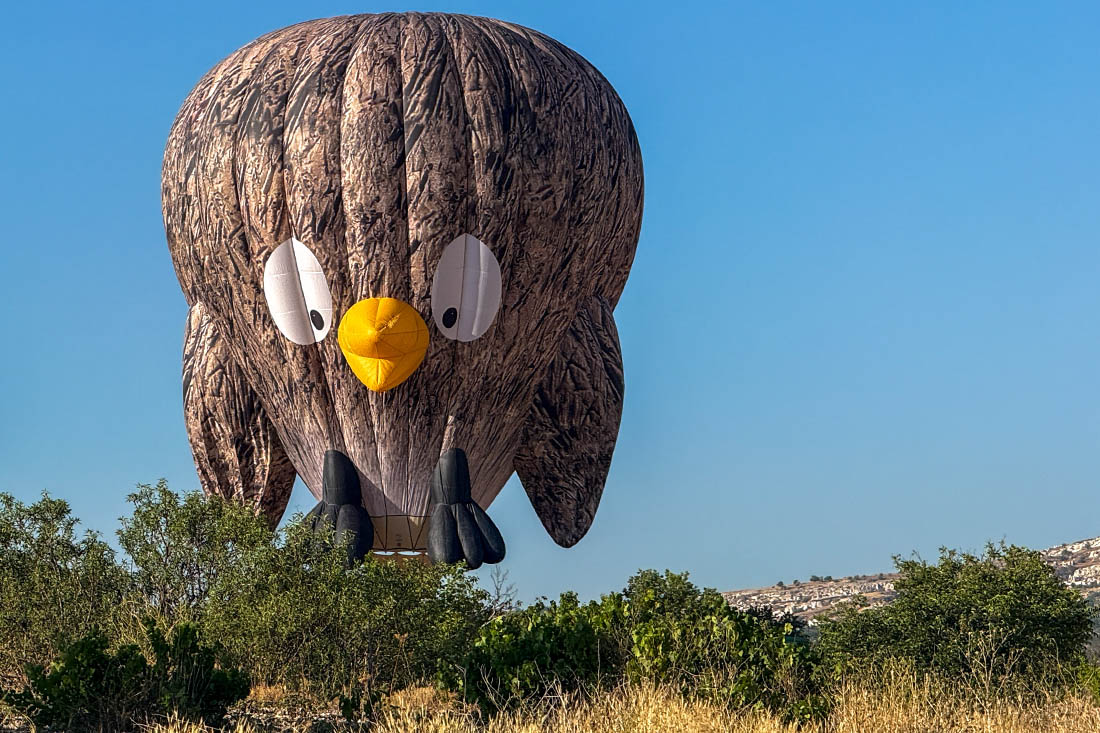 Участник фестиваля воздушных шаров в Каппадокии (Турция)