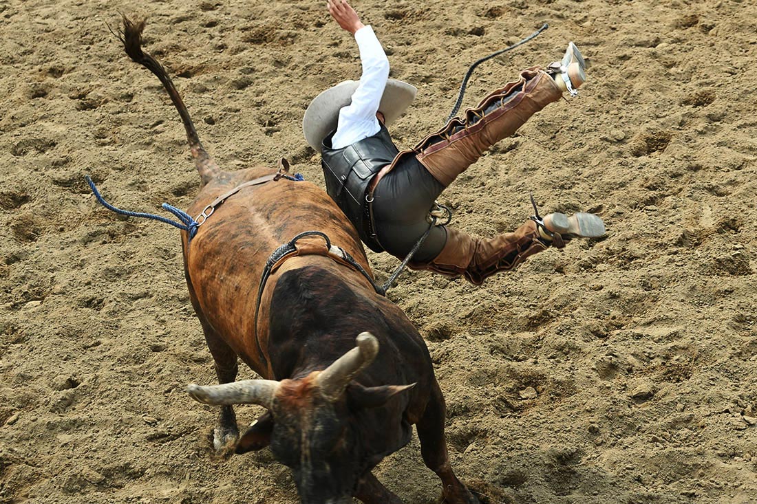 Родео в Колорадо